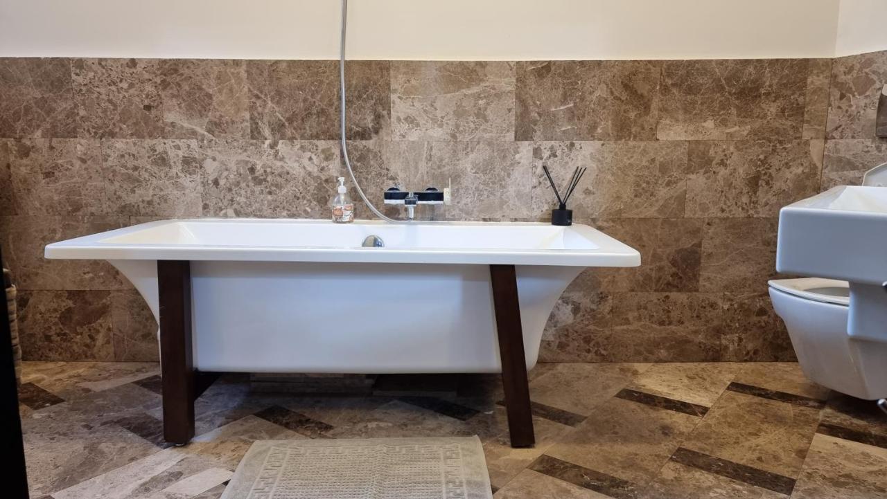 טימישוארה Neuhausz Suite - Ultracentral מראה חיצוני תמונה