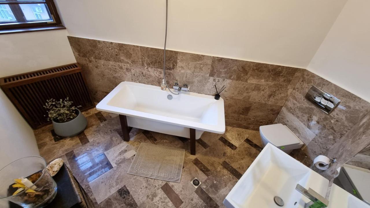 טימישוארה Neuhausz Suite - Ultracentral מראה חיצוני תמונה